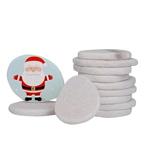 Hisredsun 10 Stück flache Mal-Kieselsteine