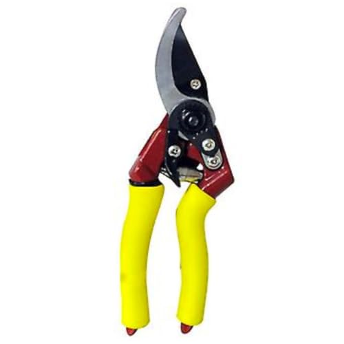 Citystores® Soft Grip Bypass Secateurs Gardening Pruners with Non-Slip Handles Sharp Precision Blades for Trimming Plants Shrubs Flowers and Small Branches Ideal for Gardeners & Outdoor Use