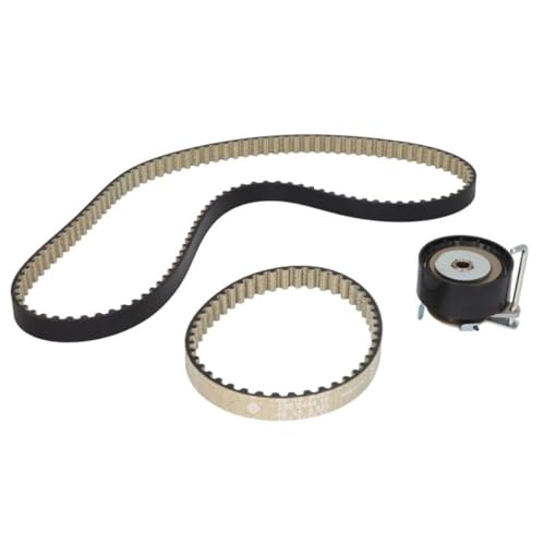 Kit de distribution INA 530 0745 10 pour réparer la perte de tension Ford