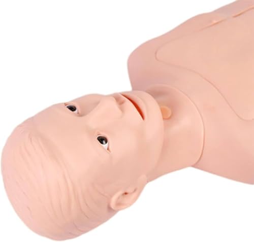 Medizinische Trainingspuppe für Intubation und Tracheostomie, unverzichtbares pädagogisches Werkzeug für Krankenpfleger und Medizinstudenten