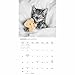 Carousel Calendars, Classic Cats 2026 Wall Calendar, 12'' X 12'', 16-Month Calendar with Stapled Binding