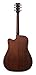 Ibanez AW54CE Artwood Traditional Acoustic-Electric Guitar - Open Pore Natural Bundle with Gig Bag, Strap, D'Addario Strings, Picks, Austin Bazaar Instructional DVD, and Polishing Cloth