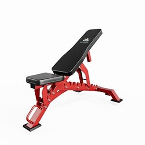 MAJOR FITNESS Weight Bench, Adjustable Workout Bench for Strength Training, Bench Press, and Full-Body Workouts for Home Garage Gym