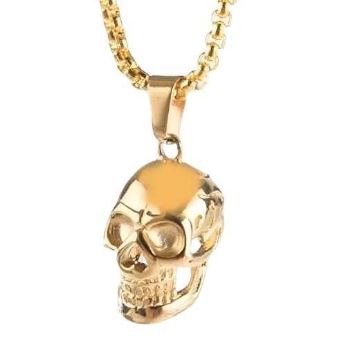 Collier Memento Mori en argent 925 avec pendentif tête de chèvre et crâne hip hop pour homme