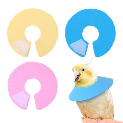 LQUYTA 3 pezzi Collare Per Domestici Set Decorazione Protezione Antigraffio Guarigione Ferite Per Pappagalli e Piccole Creature, Prevenire la toelettatura eccessiva negli uccelli