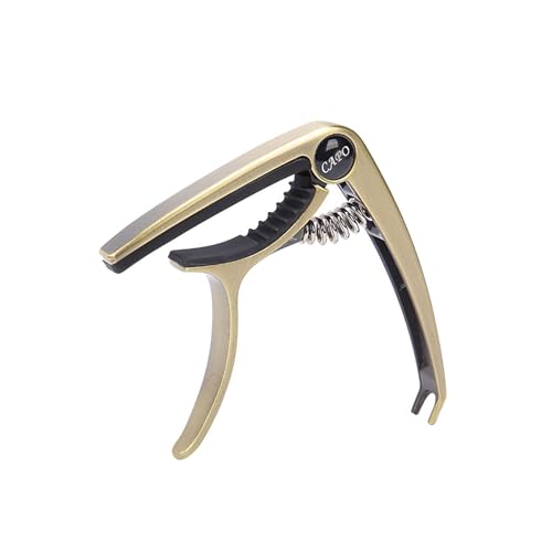  g₷AR[XeBbNM^[ƃGLM^[p̍iJ|^Xg, uY