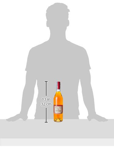 ウイスキー Chevalier Despalet Armagnac 70cl 40% Armagnac XO Chevalier Despalet Astucciato CL.70 : Amazon.it