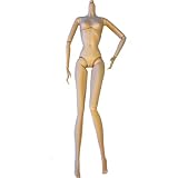 DIY OOAK Doll Bodies for Replacement 12 inch Fashion Doll Body Supermodel Collector Doll Body Articu