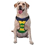 Harnais réglable réfléchissant Oxford pour chien avec drapeau des Grenadines de Saint-Vincent - Contrôle facile - Taille M et L