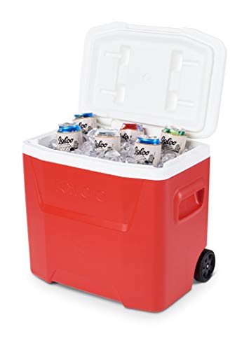 LAGUNA 28 ROLLER-2020