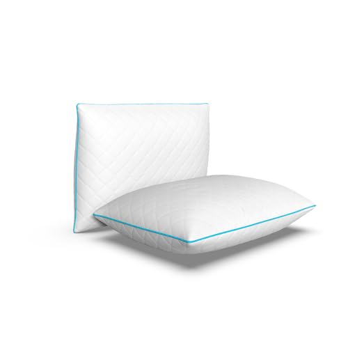 HOME STILL Eco Quilted Pillows 2-Pack, 50x70x10 cm, Microfibre Material, Anti-Allergic Siliconized Fluff Filling, Premium Hotel Quality, Machine Washable & Dryer Friendly, Medium Firm