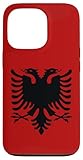 Albania Flag