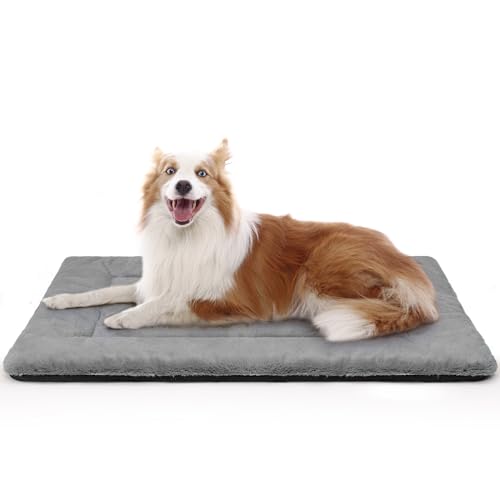 ZENGAOOU ���p�x�b�h�A���p�N���[�g�}�b�g�A����\�A�E���g���\�t�g&����~�ߑ�^���p�x�b�h�N���[�g&�������A70�|���h�܂ł̌��ɓK�����A36�C���` x 23�C���`�A�_�[�N�O���[