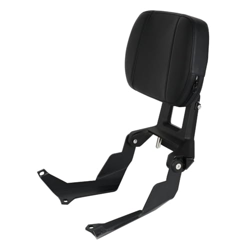 Dossier réglable F900R F900XR coussin de moto pour conducteur et passager 2020-2025