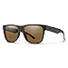 Smith Lowdown 2 CORE Sunglasses Matte Tortoise/Polarized Brown
