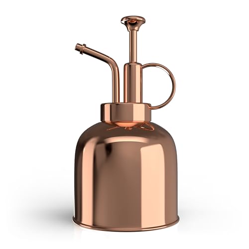 LOOPSEED Stainless Steel Plant Mister Spray Bottle Watering Can for Indoor Plants Succulent Bonsai...
