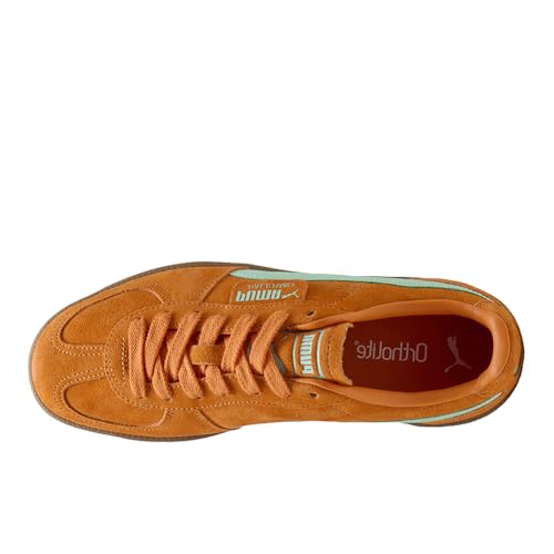 Image of Puma Mens Palermo Leather Shoes