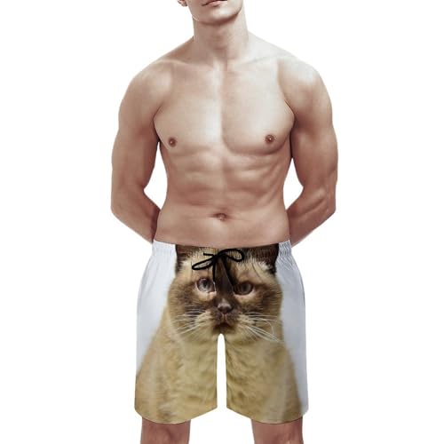 Shorts de bain homme gros chat mignon avec cordon ajustable et poches intégrées