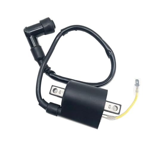 Boîtier CDI et bobine Linhai 260 300 pour réparer les pannes d'ATV