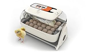AVIMAC C-80 Automatische Brutmaschine