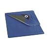 Perel Bâche, bâche imperméable, bache de Protection extérieur, hivernage, très résistante, 12 œillets, Angles renforcés, rectangulaire, Bleu/Vert, 70 g/m², 2 x 4 m