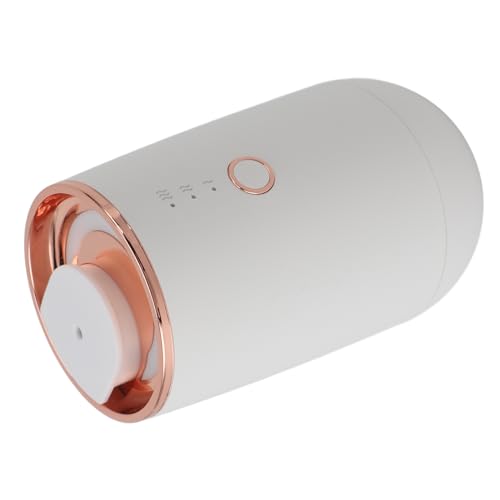 Diffuseur de voiture pour salon et chambre au design élégant blanc