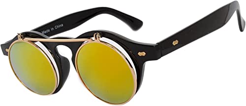 Image of OWL Steampunk Vintage Retro Round Circle Gothic Hippie Colored Plastic Frame Sunglasses Colored Lens