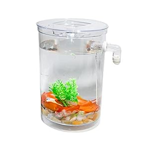ZHANGJINYISHOP2016 Vis Tank Creatief Desktop Transparant Plastic Betta Vis Tank Sier Vis Tank Aquarium Kantoor…