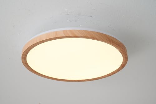 JIAQIHONG5 LED�V�[�����O���C�g8���p 10�� �ɔ��^ 36w �a�� �ؖڒ� 40CM�㉺���� �Ɩ���� ���i�K�������F �ߓd�΍� �����R������ �����^�C�v�w�ʔ�����铔���[�h �������@�\ 15��/30���X���[�v�^�C�}�[ �V��Ɩ� �d�C �ȃG�l