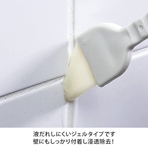 Amazon.co.jp: スライムパンチ 1キログラム (1個, 1kg) カビ取り 洗浄