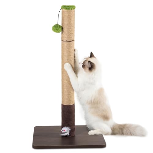 Rascador para Gatos con Base de Madera y Juguetes miniatura 1