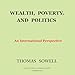 Wealth, Poverty, and Politics: An International Perspective