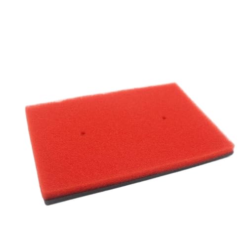 Filtre à air pour Kawasaki Ninja 250 300 et Z300 performance moteur moto