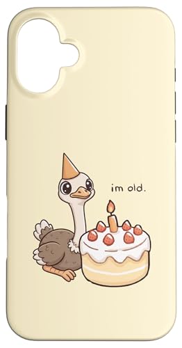 _`E a C I[h a P[L  j̎q ̎q X}zP[X iPhone 16 Plus p