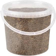 UK GROW Premium Dried Mealworms in a Bucket / Tub (1 Ltr)