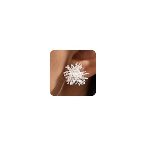 Awinesn Clip on Earrings for Women 925 Sterling Silver Plated Cubic Zirconia Summer Earrings Non Pierced Earrings for Women Jewelry Gifts Wedding Party (shanhu-5cz-s)