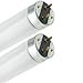 Industrial Performance TLD36W/965, 36 Watt, Bright White Fluorescent Tube Light Bulb (2 Pack)
