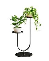 Bamworld Blumenständer Metall Schwarz, Pflanzenständer Indoor Outdoor, Modernes 2-stufiges Pflanzenregal, Stabiler Blumentopfhalter für Wohnzimmer, Balkon, Garten