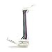 Produktbild RGBW 12mm Schnell-Verbinder mit/ohne Kabel 0-100cm (Clip > Kabel >Clip) RGB+W Verbinder (50cm)