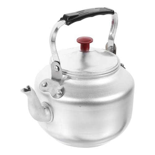 Abaodam Bouilloire Chauffante Portable en Alliage D'aluminium 0,8l Infuseur Intégré, Adaptée pour Cuisinière Électrique, Finition Polie Argentée Couleur Aléatoire
