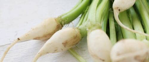 50 SEMI DI RAPA DELLE VIRTU'