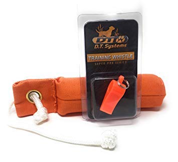 Tips for Using Sparky Pet Dog Strap