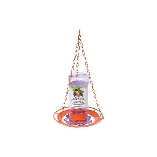 Perky-Pet Oriole 32 oz. Plastic Nectar Feeder 1 Ports