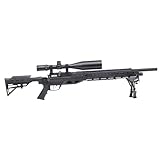Benjamin Armada BTAP25SX .25- Caliber Pe...