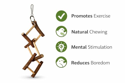Image of KSK Natural Wood Bird Hanging Toy for Budgies, Lovebirds & Cockatiels - Chewable Climbing Ladder with Real Wood Sticks - Cage Activity Toy for Small & Medium Parrots