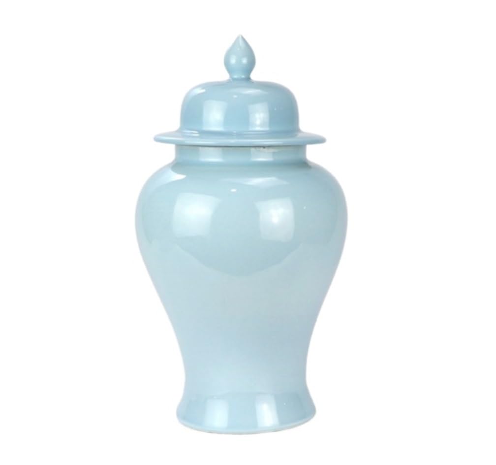 FLYIODFCXV Modern Vase Ceramic Ginger Jar with Lid Decorative Flower Vases