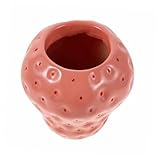 Idéal pour l'entrée ou salon : une pièce remarquable pour votre entrée ou votre salon, elle rehausse l'attrait de votre espace et laisse une impression , vase à bourgeons de fraise, pot succulent fraise