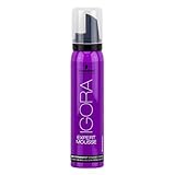mousse blonde hair  Schwarzkopf Igora Expert Mousse 8-77 Light Blonde Copper Extra 100 ml / 3.2 oz by Schwarzkopf Professional by Schwarzkopf Professional