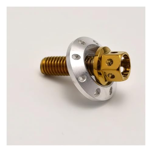 304ステンレス鋼カラフルM6電動バイク用ネジ外六角フランジキャップアクセサリー(Blue)