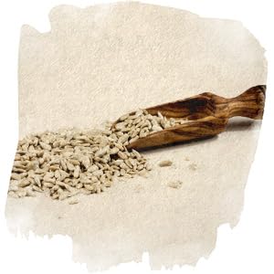 Vogelfood Sonnenblumenkerne geschält 10 kg Vogelfutter für Wildvögel – Bild 5